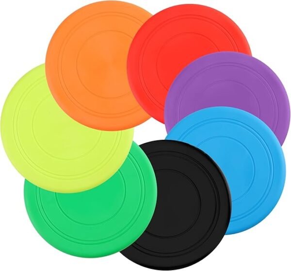 Frisbee pour Chien