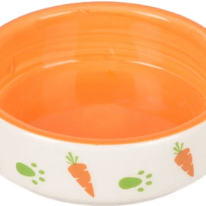 Gamelle nourriture et eau Iggy Rond Blanc & Orange